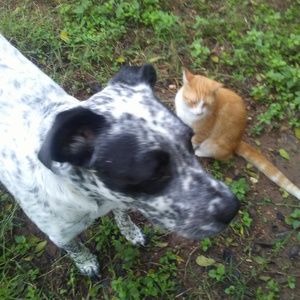 Meet your Posher, Shawn